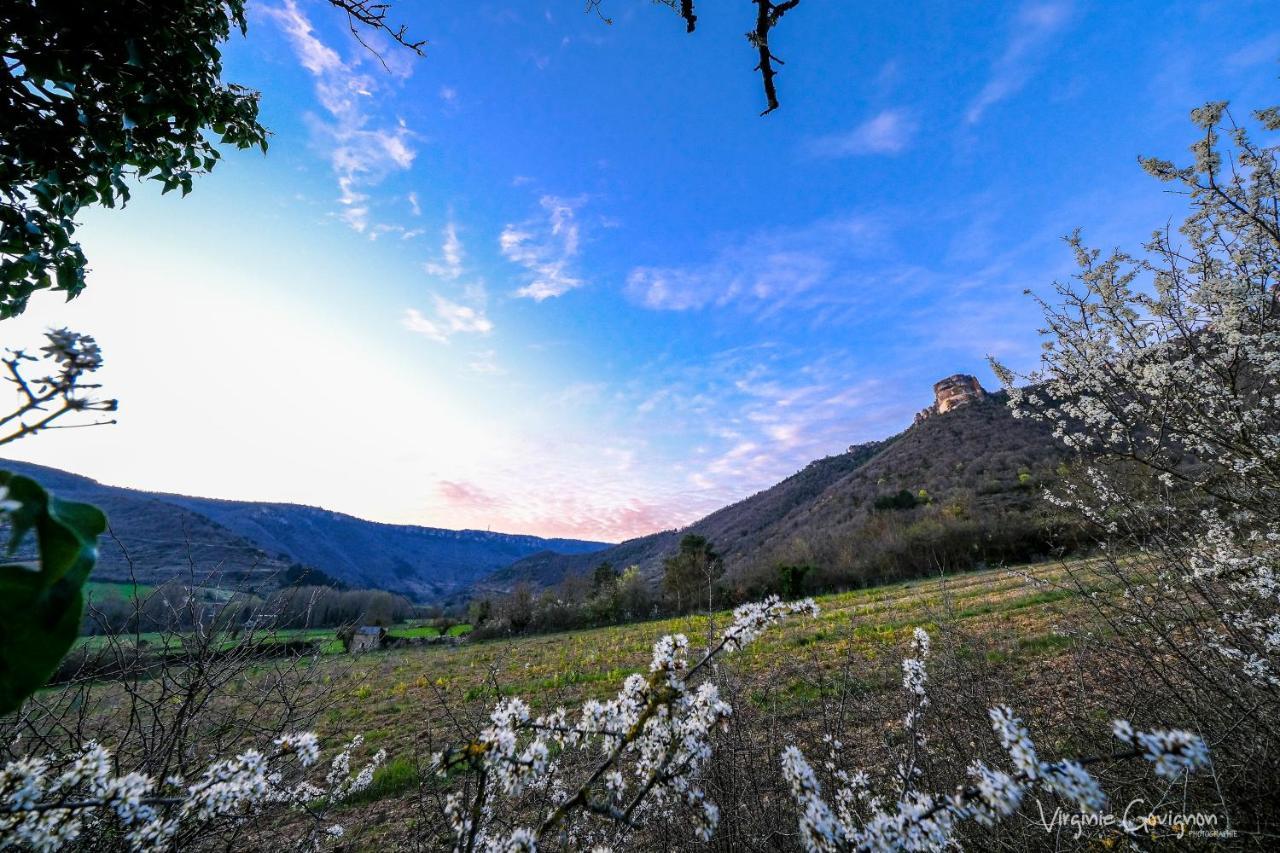 La Maison Huguétoune Nant Esterno foto